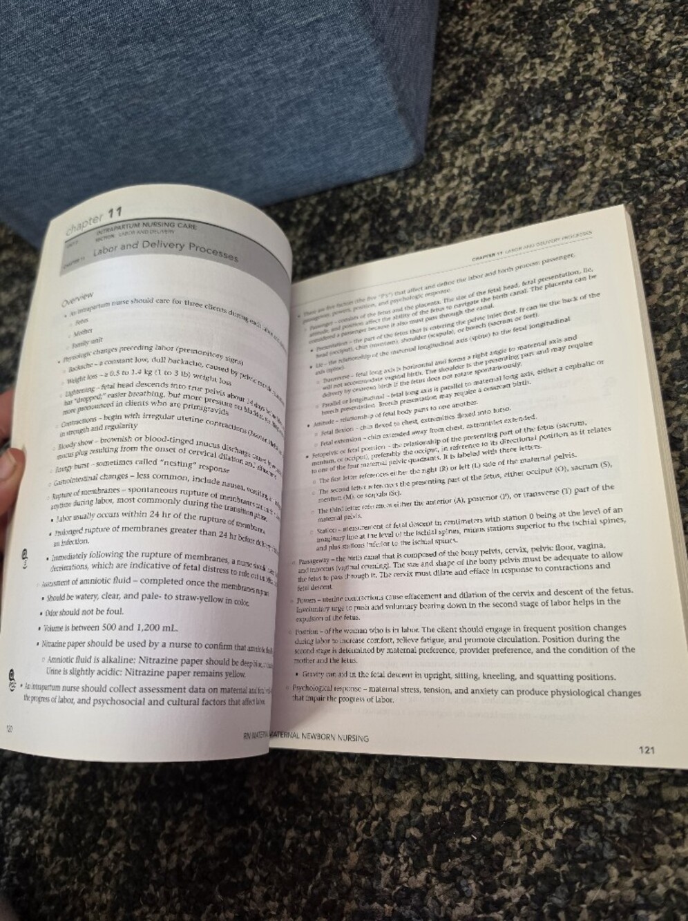 Blank Brand White Softcover Nursing Textbook - Home Office Reference